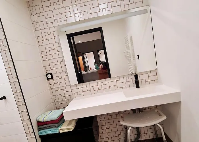 Pmr Adapte Futuroscope Aquascope Center Parc Mecanick & Ko Mirebeau