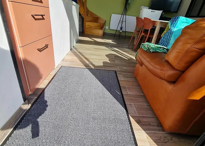 Pmr Adapte Futuroscope Aquascope Center Parc Mecanick & Ko * Mirebeau