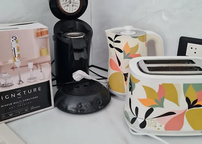 Pmr Adapte Futuroscope Aquascope Center Parc Mecanick & Ko Σπίτι διακοπών *